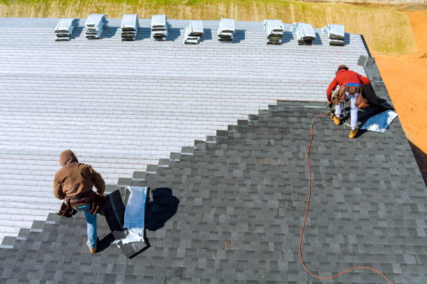 Best Local Roofing Companies  in Panthersville, GA