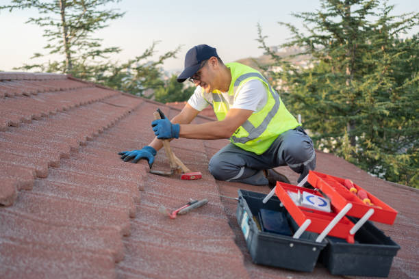 Best Roof Waterproofing Services  in Panthersville, GA
