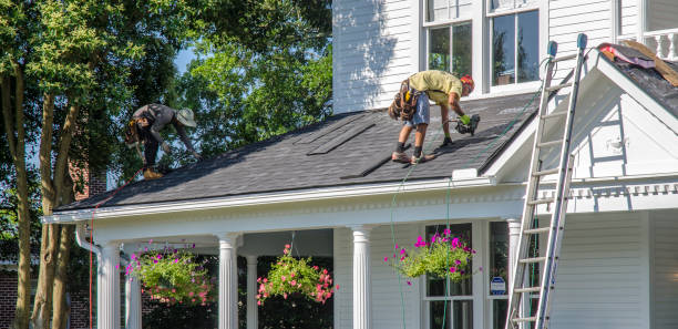 Best Metal Roofing Contractor  in Panthersville, GA